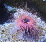 Sealife Konstanz 